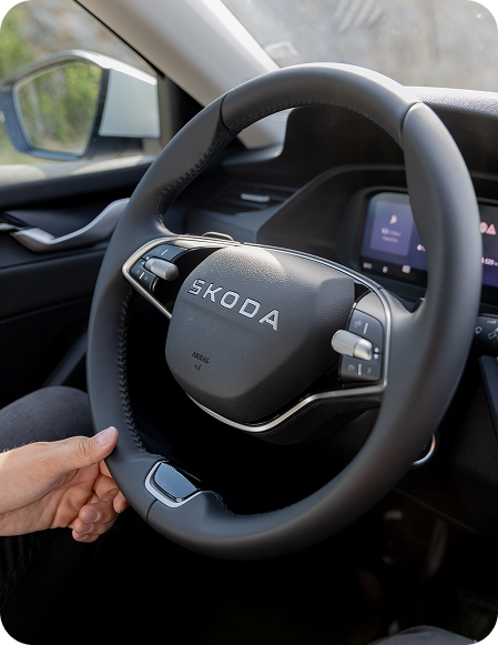 Leo Taxi - Service 3